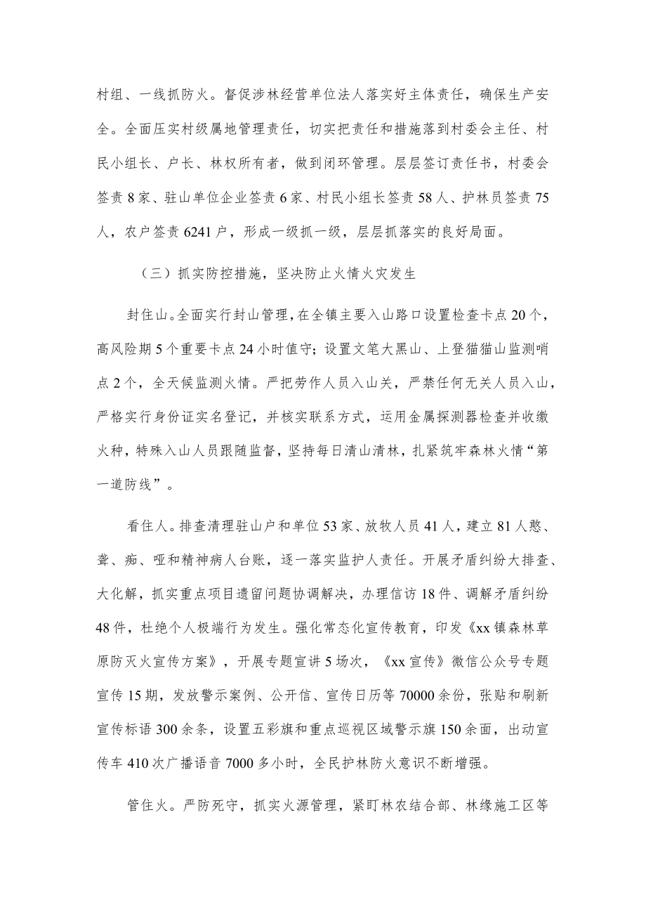 xx镇20xx年森林草原防灭火专项工作报告.docx_第3页
