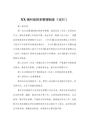 XX镇村级财务管理制度（试行）.docx