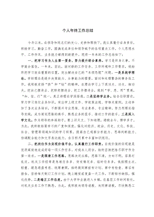 个人年终工作总结（范文）.docx
