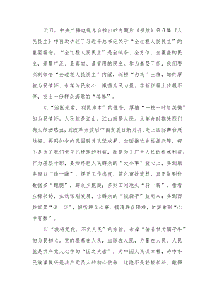 专题片《领航》第6集《人民民主》观后感2篇.docx