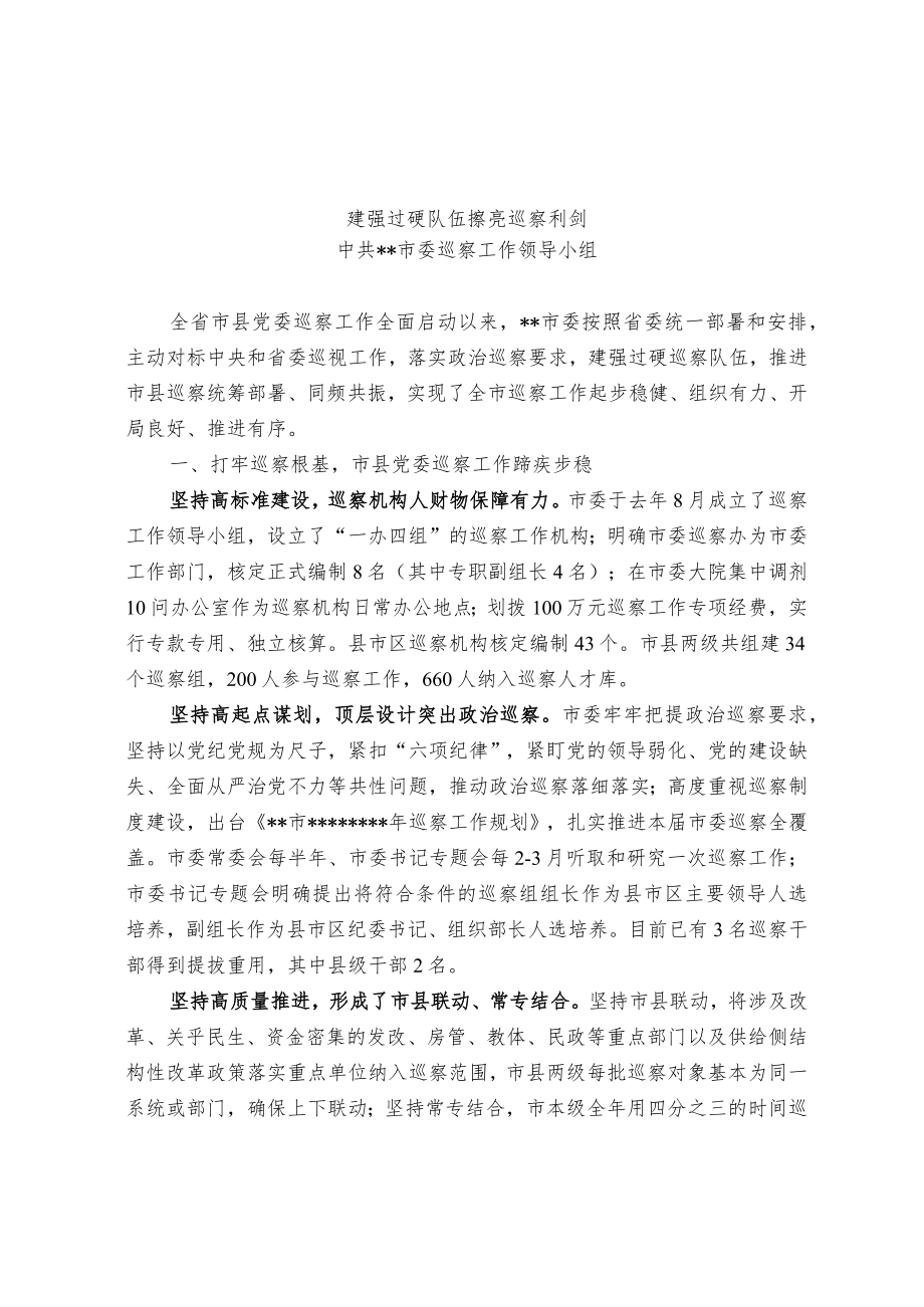 【经验交流材料】建强过硬队伍 擦亮巡察利剑.docx_第1页