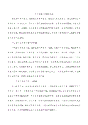 个人党性分析报告总结.docx