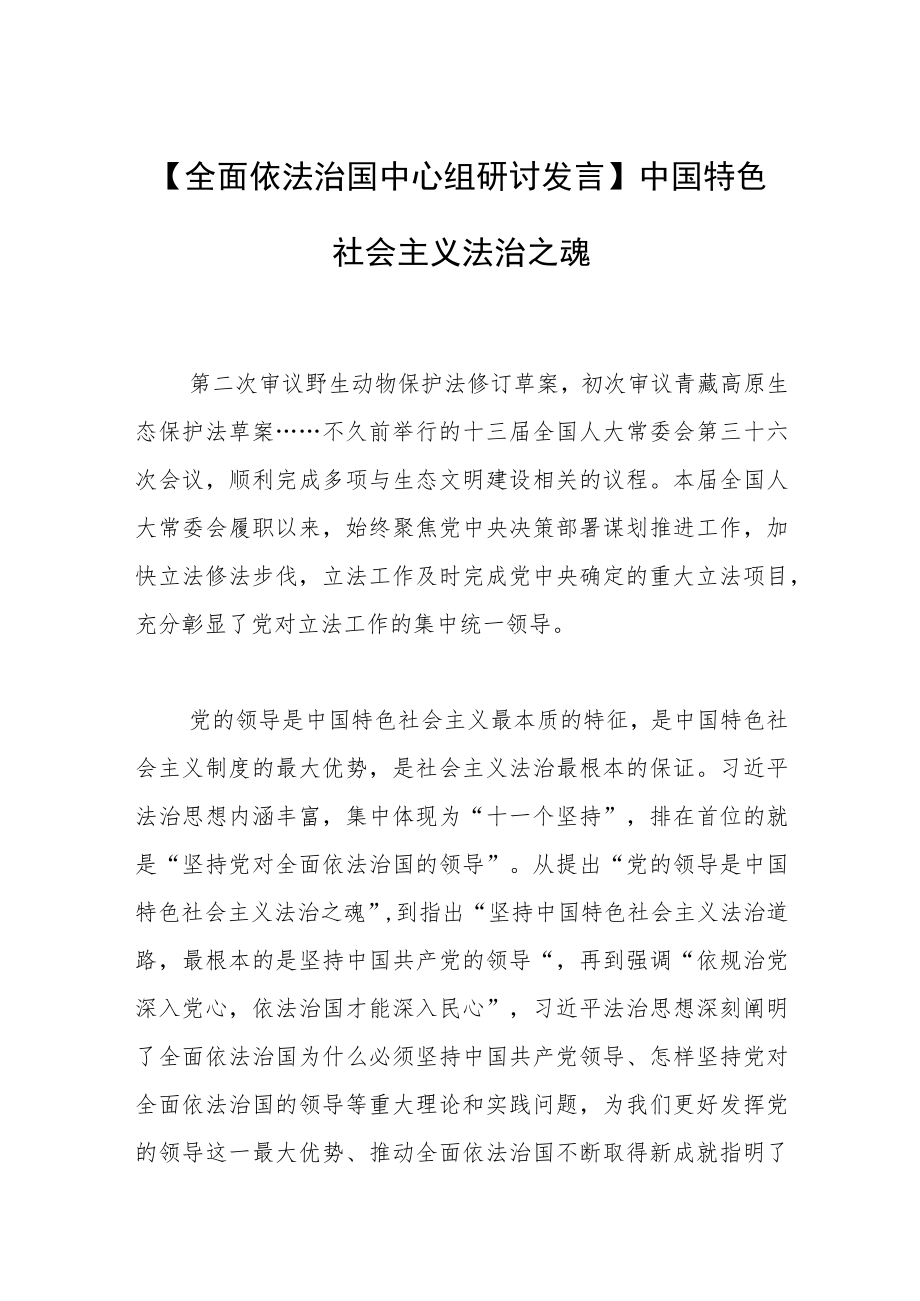 【全面依法治国中心组研讨发言】中国特色社会主义法治之魂.docx_第1页