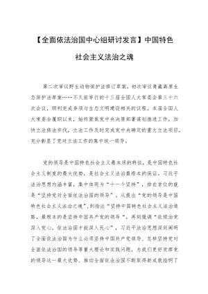 【全面依法治国中心组研讨发言】中国特色社会主义法治之魂.docx