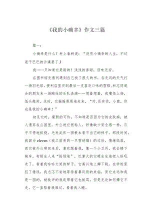 《我的小确幸》作文三篇.docx