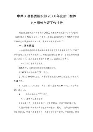 中共X县县委组织部20XX年度部门整体支出绩效自评工作报告（20220413）.docx