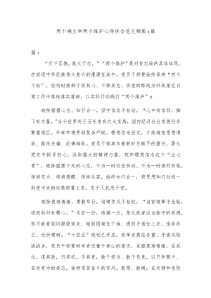 两个确立和两个维护心得体会范文锦集6篇.docx