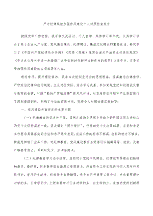严守纪律规矩加强作风建设个人对照检查发言.docx