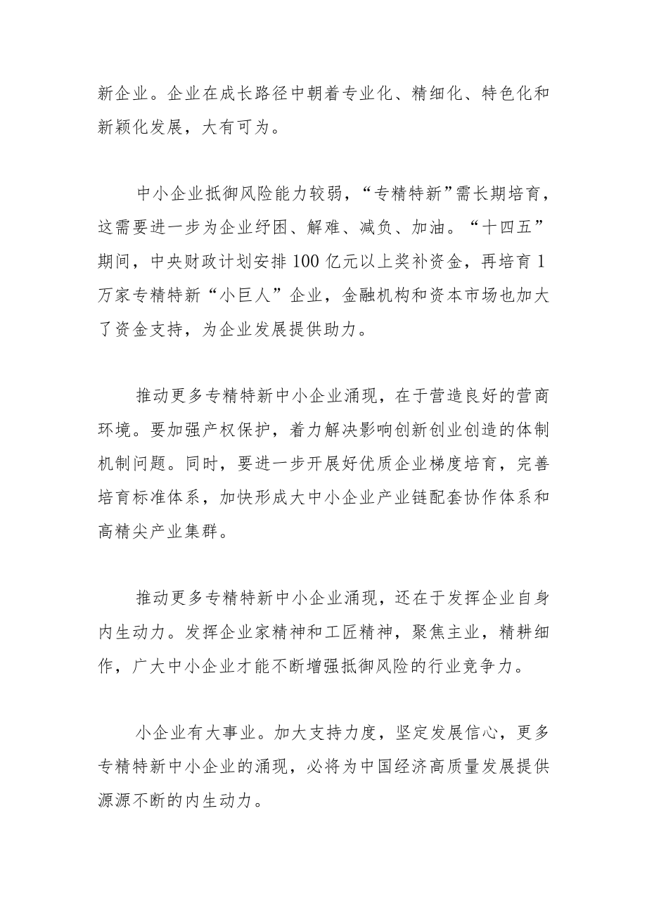 【中心组研讨发言】激发涌现更多专精特新中小企业.docx_第2页