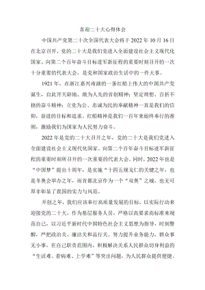2022喜迎二十大心得体会感悟四.docx