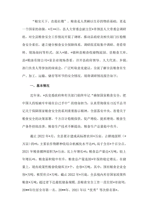 2022粮食安全工作情况调研报告.docx