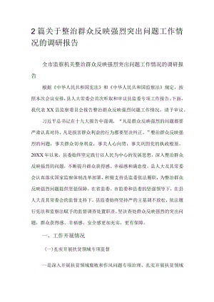 2篇关于整治群众反映强烈突出问题工作情况的调研报告.docx