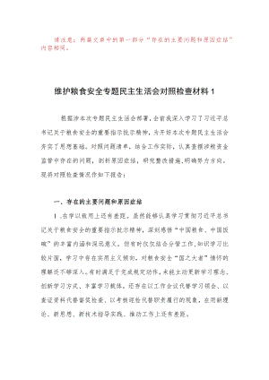 2022维护粮食安全专题民主生活会个人对照检查材料.docx