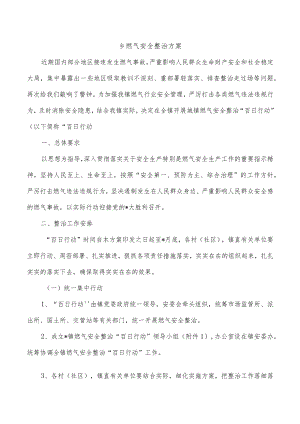 乡燃气安全整治方案.docx