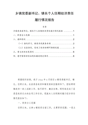 乡镇党委副书记、镇长个人任期经济责任履行情况报告.docx