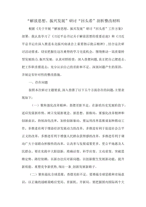 2022解放思想、振兴发展研讨回头看剖析整改材料一.docx