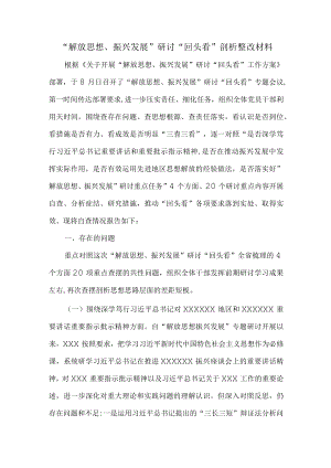 2022解放思想、振兴发展研讨回头看剖析整改材料二.docx