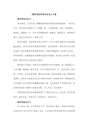 2022教师研修总结范文4篇.docx