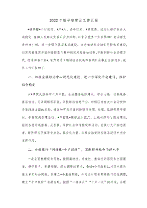 2022镇平安建设工作汇报.docx
