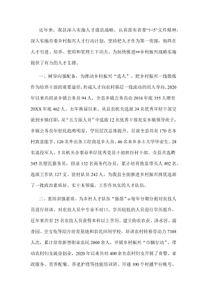 乡村振兴人才队伍建设工作汇报.docx