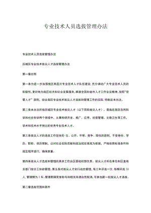 专业技术人员选拔管理办法.docx