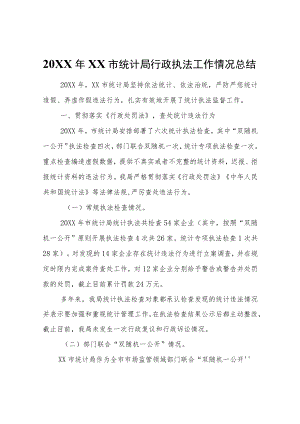 XX市统计局行政执法工作情况总结.docx