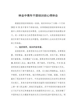 2022轻干部理论学习心得体会九篇合集.docx