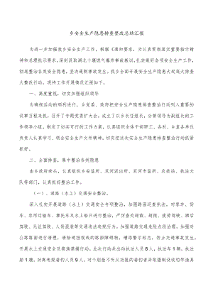 乡安全生产隐患排查整改总结汇报.docx