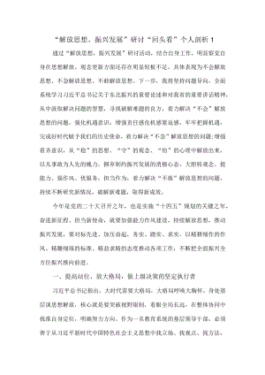 2022解放思想、振兴发展研讨回头看剖析材料三.docx