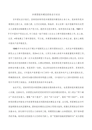 共青团组织建设经验启示发言.docx