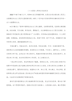 二十大报告心得体会交流发言.docx