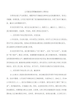 公司副总经理廉政教育心得体会.docx