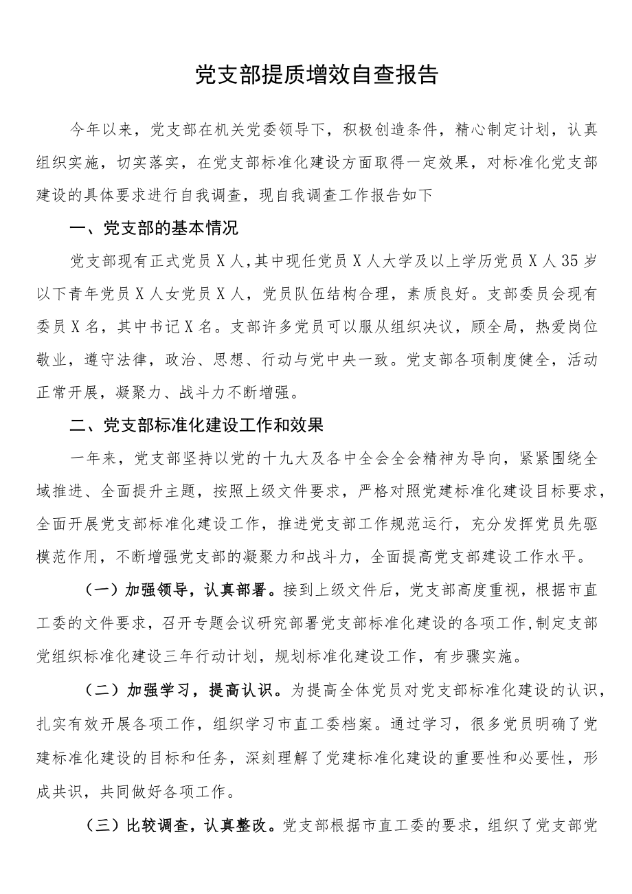党支部提质增效自查报告.docx_第1页