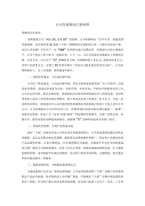 公司发展情况汇报材料.docx