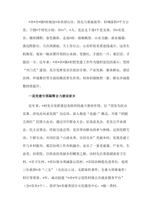 党建引领乡村振兴经验汇报材料.docx