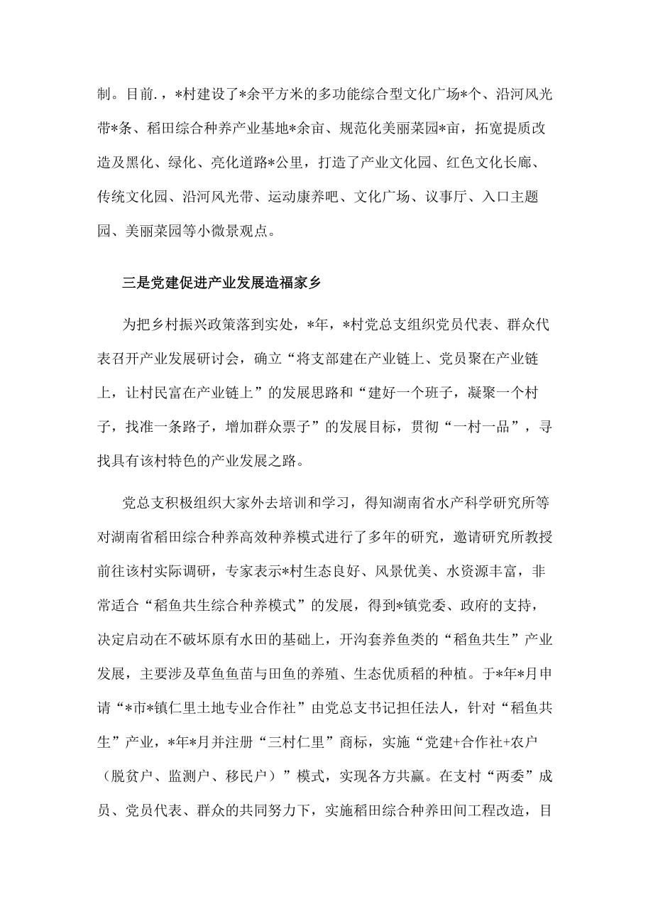 党建引领乡村振兴经验汇报材料.docx_第3页