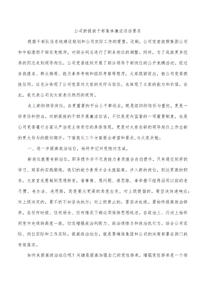 公司新提拔干部集体廉洁谈话要求.docx