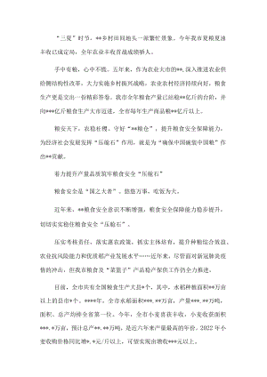 全市推进粮食安全工作综述.docx