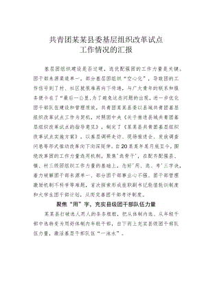 共青团某某县委基层组织改革试点工作情况的汇报.docx