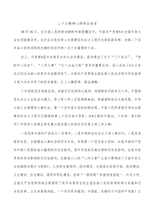 二十大精神心得体会发言.docx