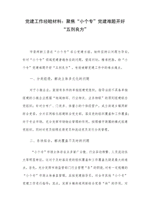 党建工作经验材料：聚焦“小个专”党建难题开好“五剂良方”.docx