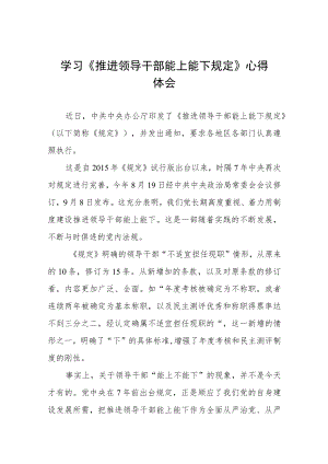 党员干部学习推进领导干部能上能下规定心得体会六篇.docx