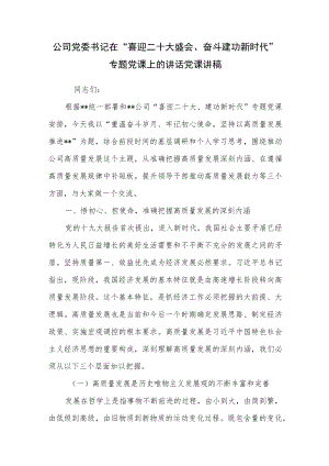 公司党委书记在“喜迎二十大盛会、奋斗建功新时代”专题党课上的讲话党课讲稿.docx