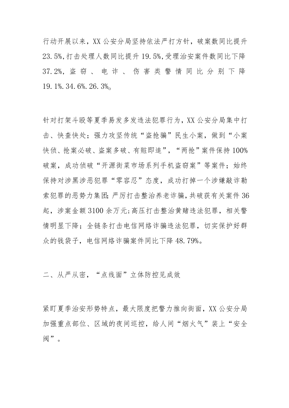 公安分局夏季治安百日行动工作总结.docx_第2页