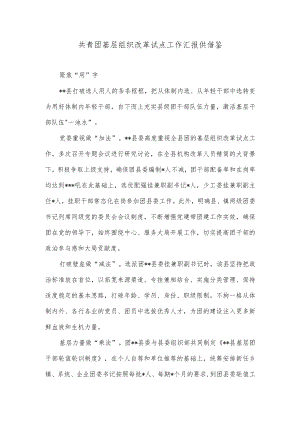 共青团基层组织改革试点工作汇报供借鉴.docx