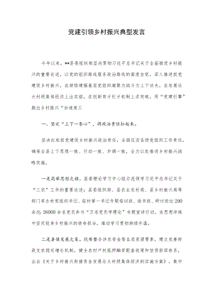 党建引领乡村振兴典型发言.docx