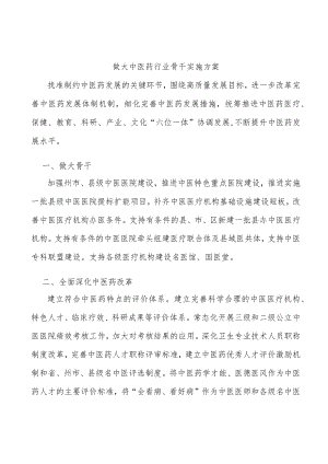 做大中医药行业骨干实施方案.docx
