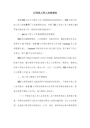 公司选人用人自查报告.docx