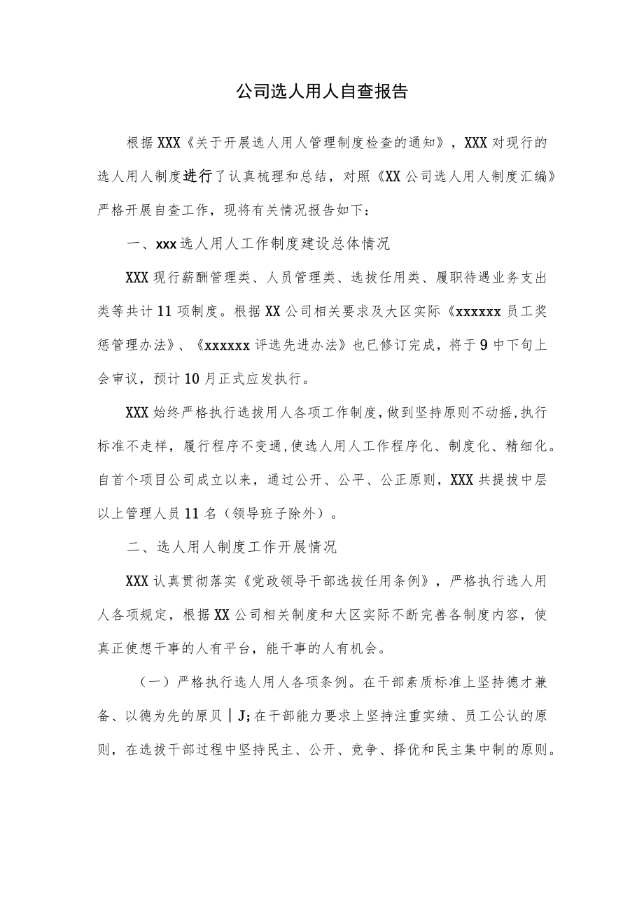公司选人用人自查报告.docx_第1页