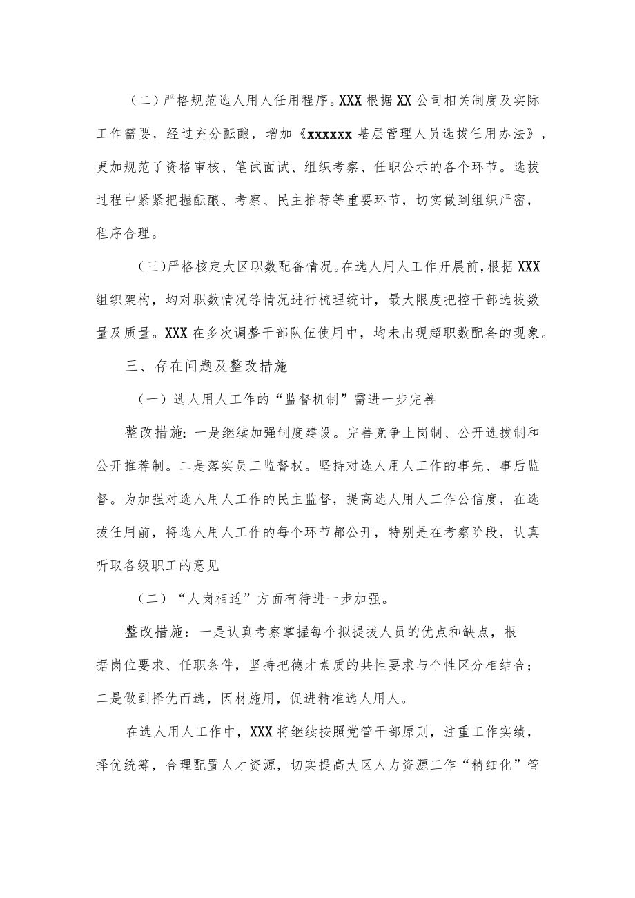 公司选人用人自查报告.docx_第2页